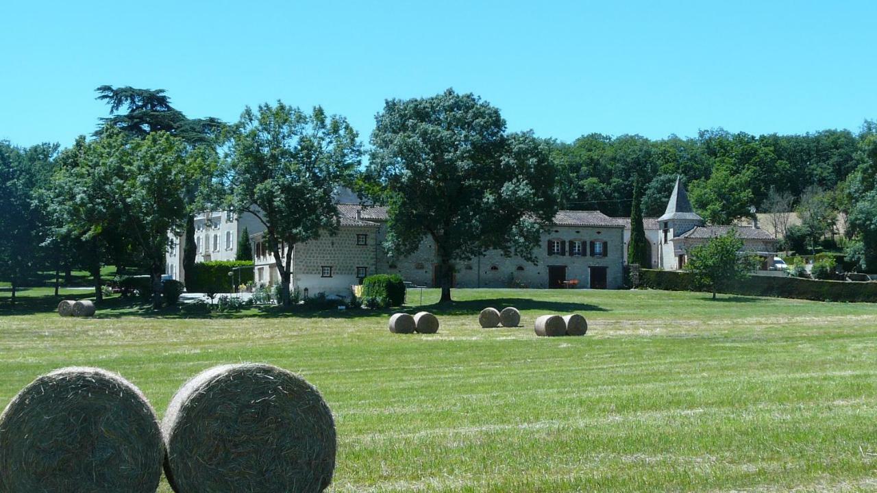 Chateau De La Bousquetarie Lempaut Экстерьер фото